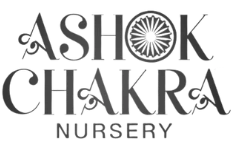 Ashok Chakra Nursery